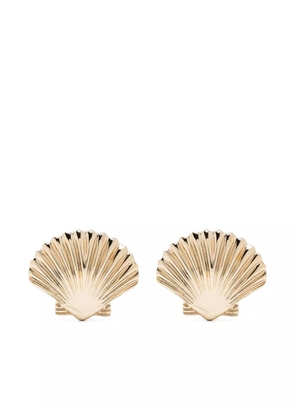 Mateo 14kt yellow gold small Venus shell earrings