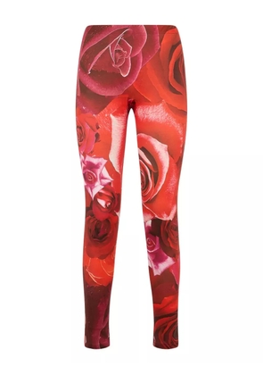 Roberto Cavalli Garden Rose-print leggings - Red