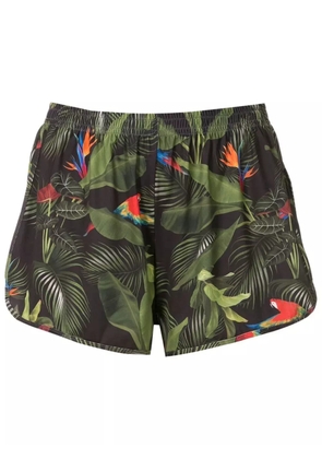 Lygia & Nanny Lee botanical-print shorts - Green