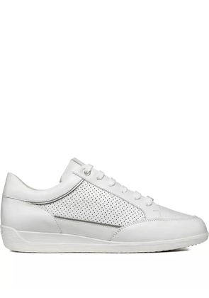 Geox Myria perforated leather sneakers - White