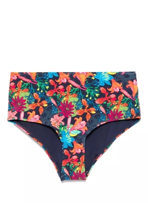 Marlies Dekkers Thalassa bikini bottoms - Blue