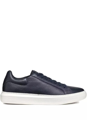 Geox Zackerty sneakers - Blue