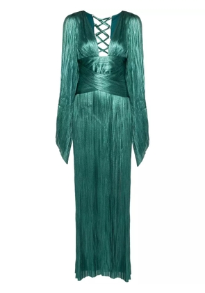 Maria Lucia Hohan Alana plissé silk gown - Green