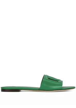 Dolce & Gabbana DG Logo leather slides - Green