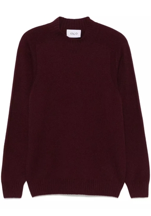 D4.0 virgin wool sweater - Red