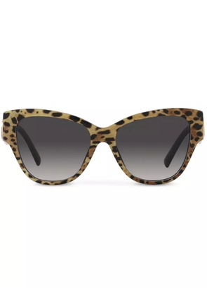 Dolce & Gabbana Eyewear leopard-print butterfly-frame sunglasses - Brown