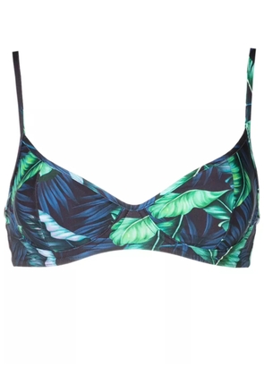 Lygia & Nanny Fiji leaf-print bikini top - Blue