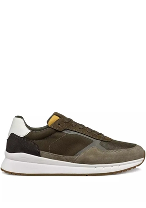 Geox Branthon panelled sneakers - Brown