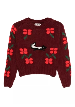 BODE skunk-jacquard crew-neck jumper - Brown