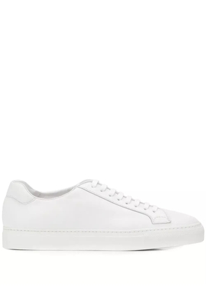 Scarosso low-top sneakers - White