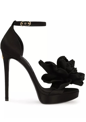 Dolce & Gabbana 105mm Keira floral-appliqué sandals - Black