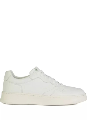 Geox Arvier sneakers - White