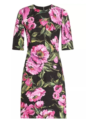 Dolce & Gabbana floral-print mini dress - Black