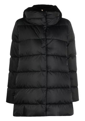 Herno hooded quilted coat - Black