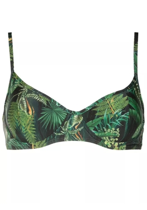 Lygia & Nanny Fiji leaf-print bikini top - Green