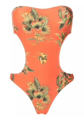 Lygia & Nanny Taylor floral-print swimsuit - Orange