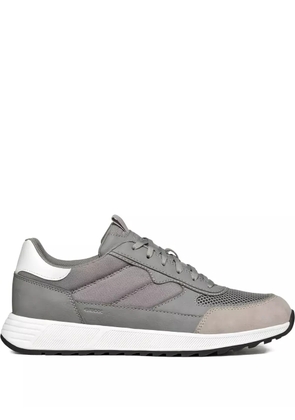 Geox Molveno panelled sneakers - Grey