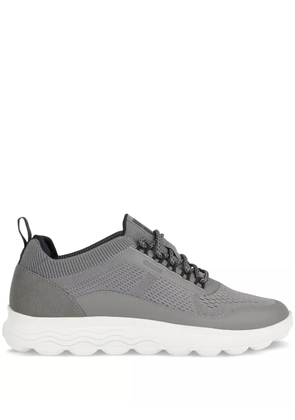 Geox Spherica sneakers - Grey