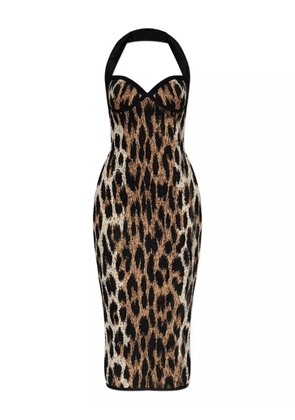 Balmain halterneck leopard-print midi dress - Brown