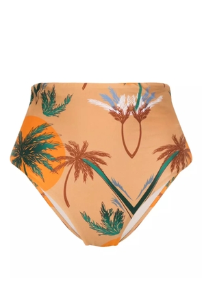Raquel Diniz palm-tree-print bikini bottom - Brown