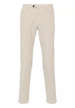 Briglia 1949 corduroy chino trousers - Neutrals