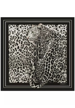 Dolce & Gabbana leopard-print scarf - Black