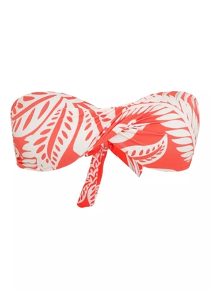 Lygia & Nanny Hawaii bikini top - Orange