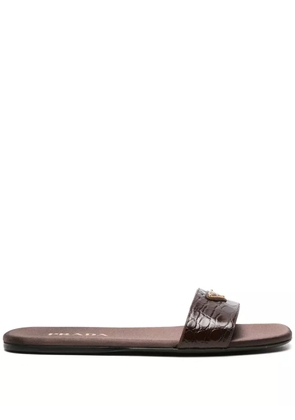 Prada triangle-logo embossed-crocodile slides - Brown