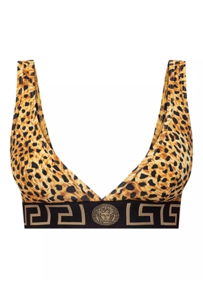 Versace leopard-print logo-band bra - Yellow