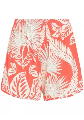 Lygia & Nanny Lee shorts - Orange