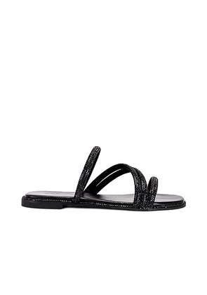 Schutz Giulia Flat in Black. Size 6. Also in 6.5.