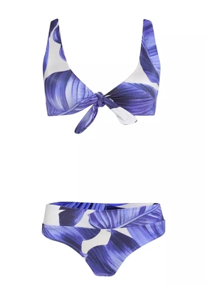 Brigitte leaf-print bikini - Blue