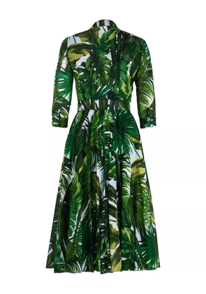 Samantha Sung Aster palm tree-print midi dress - Green