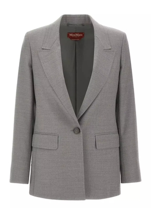 Max Mara Bolsena single-breasted blazer - Grey