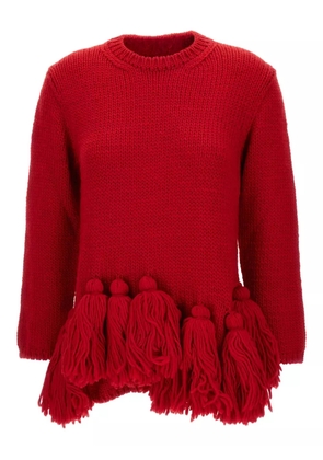 Comme Des Garçons tassel-detail fringed sweater - Red