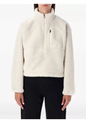 The North Face Extreme pile-fabric half-zip pullover - Neutrals