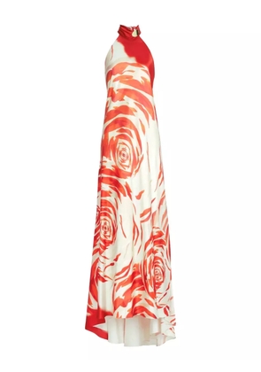 Silvia Tcherassi Sherry maxi dress - Red