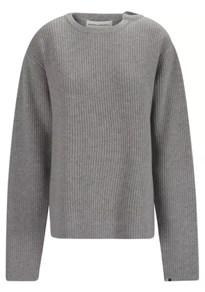 extreme cashmere cashmere sweater - Grey