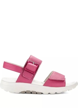 GABOR buckle-strap flat sandals - Pink
