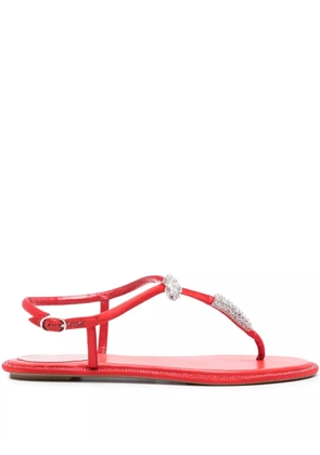 René Caovilla Katy crystal-embellished sandals - Red
