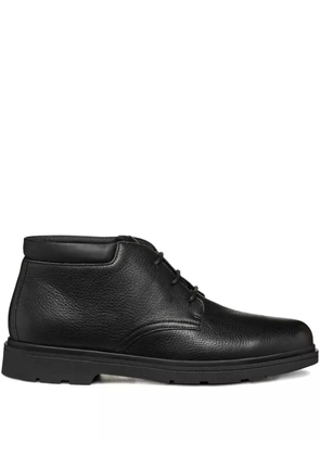 Geox leather lace-up ankle boots - Black
