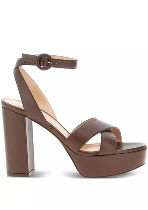 Gianvito Rossi 105mm Sabrina sandals - Brown