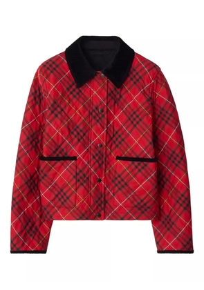 Burberry check quilted jacket - Red