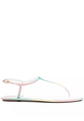 René Caovilla Diana Burano flat sandals - Green