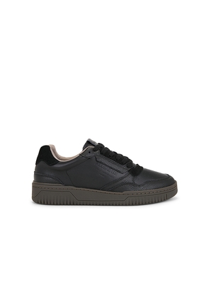ALLSAINTS Regan Low Top in Black. Size 8. Also in 11.