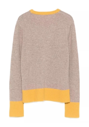 absolut cashmere Alessandra jumper - Brown