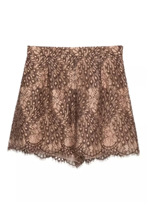 SHIATZY CHEN Scape-of-Curve lace-print shorts - Brown