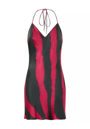 Roberto Cavalli striped dress - Black