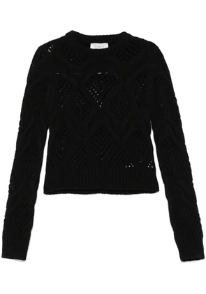 Sportmax Narvel sweater - Black