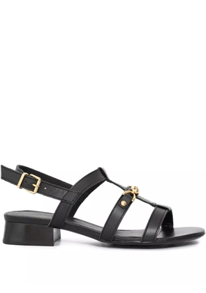 Sarah Chofakian 20mm Le Croque Madame buckle-fastening leather sandals - Black